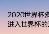 2020世界杯多少个球队（2020已经进入世界杯的球队）