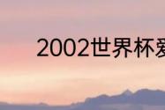 2002世界杯爱尔兰小组赛战绩