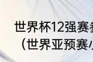 世界杯12强赛参赛队报名人数几个人（世界亚预赛小组排名规则）