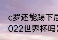 c罗还能踢下届世界杯吗（伊布参加2022世界杯吗）