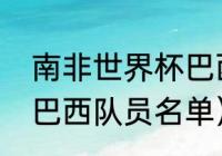 南非世界杯巴西队员名单（求世界杯巴西队员名单）