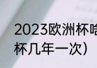 2023欧洲杯啥时候开始（2023欧洲杯几年一次）