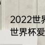 2022世界杯意大利出线了吗（2022世界杯爱尔兰出线了吗）