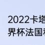 2022卡塔尔世界杯法国巴西谁强（世界杯法国和丹麦谁厉害）