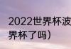 2022世界杯波兰赢了几场（波兰进世界杯了吗）