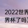 2022世界杯波兰赢了几场（波兰进世界杯了吗）