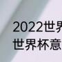 2022世界杯为啥没有意大利（2022世界杯意大利出局原因）