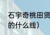 石宇奇桃田贤斗谁厉害（桃田贤斗用的什么线）