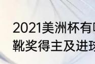 2021美洲杯有哪些队（历届美洲杯金靴奖得主及进球数）