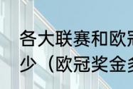 各大联赛和欧冠的冠军奖金分别是多少（欧冠奖金多少）