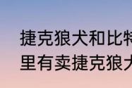 捷克狼犬和比特犬哪个厉害（国内哪里有卖捷克狼犬）