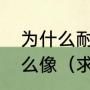 为什么耐克喷泡的鞋标跟骑士队徽那么像（求Nba队标个队徽）