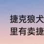 捷克狼犬和比特犬哪个厉害（国内哪里有卖捷克狼犬）