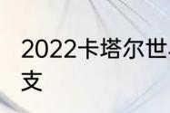 2022卡塔尔世界杯提前出线球队有几支