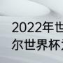 2022年世界杯为什么冬季举办（卡塔尔世界杯为何在11到12月举行）