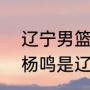 辽宁男篮比赛时间2020年到2021（杨鸣是辽宁本钢球队几号）