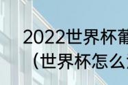 2022世界杯葡萄牙vs意大利谁赢了（世界杯怎么没有葡萄牙）