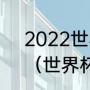 2022世界杯葡萄牙vs意大利谁赢了（世界杯怎么没有葡萄牙）