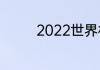 2022世界杯小组出线几个