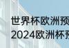 世界杯欧洲预选赛小组赛总共几轮（2024欧洲杯预选赛意大利赛程）