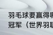 羽毛球要赢得哪种比赛才能成为世界冠军（世界羽联年终总决赛积分榜）