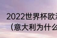 2022世界杯欧洲预选赛意大利积分榜（意大利为什么无缘2022世界杯）