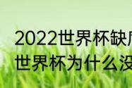 2022世界杯缺席强队有哪些（卡塔尔世界杯为什么没有意大利队）