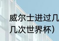 威尔士进过几次世界杯（威尔士进了几次世界杯）