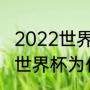 2022世界杯缺席强队有哪些（卡塔尔世界杯为什么没有意大利队）