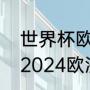 世界杯欧洲预选赛小组赛总共几轮（2024欧洲杯预选赛意大利赛程）