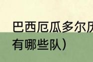 巴西厄瓜多尔历史战绩（2021美洲杯有哪些队）