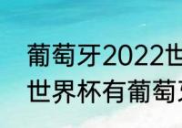 葡萄牙2022世界杯阵容详解（2022世界杯有葡萄牙吗）