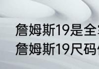 詹姆斯19是全掌气垫吗有几种配色（詹姆斯19尺码偏大还是偏小）