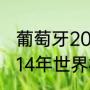 葡萄牙2014年世界杯小组赛的成绩（14年世界杯葡萄牙小组赛对手）