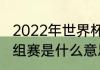 2022年世界杯小组赛规则（世界杯小组赛是什么意思）