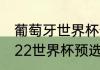 葡萄牙世界杯预选赛成绩（乌拉圭2022世界杯预选赛成绩）