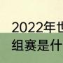 2022年世界杯小组赛规则（世界杯小组赛是什么意思）