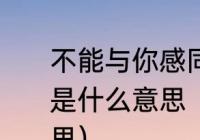 不能与你感同身受但能做你最佳听众是什么意思（还是觉得你最好歌词意思）