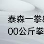 泰森一拳800公斤是什么概念（泰森800公斤拳重真的吗）