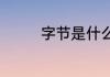 字节是什么（字节是什么）