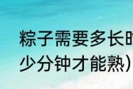 粽子需要多长时间才能熟（粽子要多少分钟才能熟）