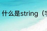 什么是string（字符串变量什么意思）