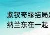 紫钗奇缘结局是怎样的小玉有没有跟纳兰东在一起（紫钗奇缘意浓结局）