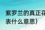 紫罗兰的真正花语（紫罗兰花语,都代表什么意思）