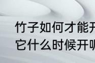 竹子如何才能开花（竹子会开花吗那它什么时候开呢花又是什么样的呢）