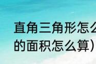 直角三角形怎么求面积（直角三角形的面积怎么算）