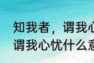 知我者，谓我心忧什么意思（知我者谓我心忧什么意思）