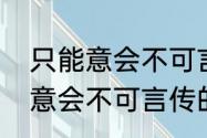 只能意会不可言传是什么意思（只可意会不可言传的意思）