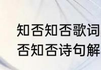 知否知否歌词是李清照的全诗吗（知否知否诗句解析）