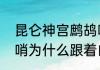 昆仑神宫鹧鸪哨为什么会出现（鹧鸪哨为什么跟着白猿跳到洞里）